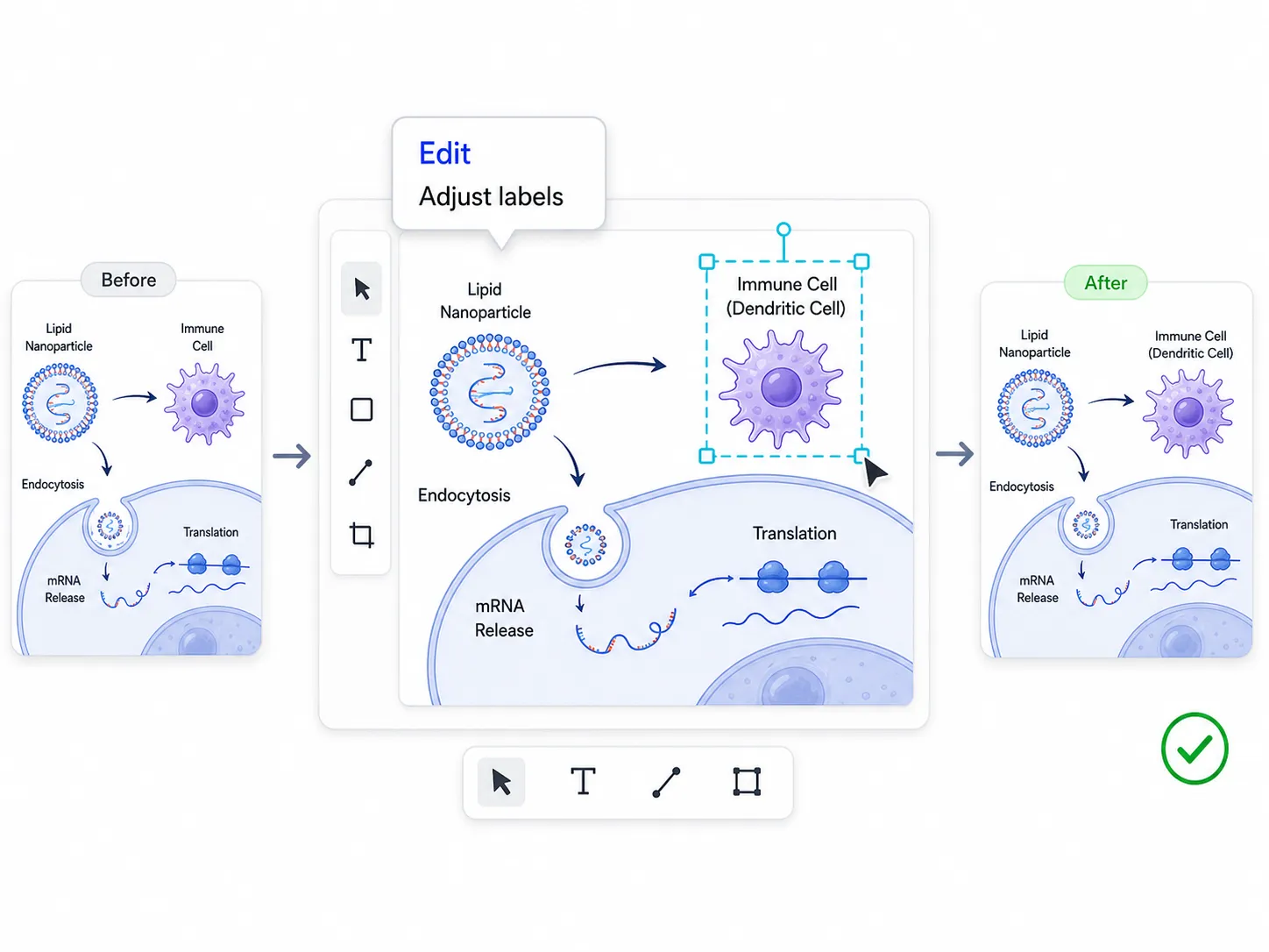 Scientific image edit example