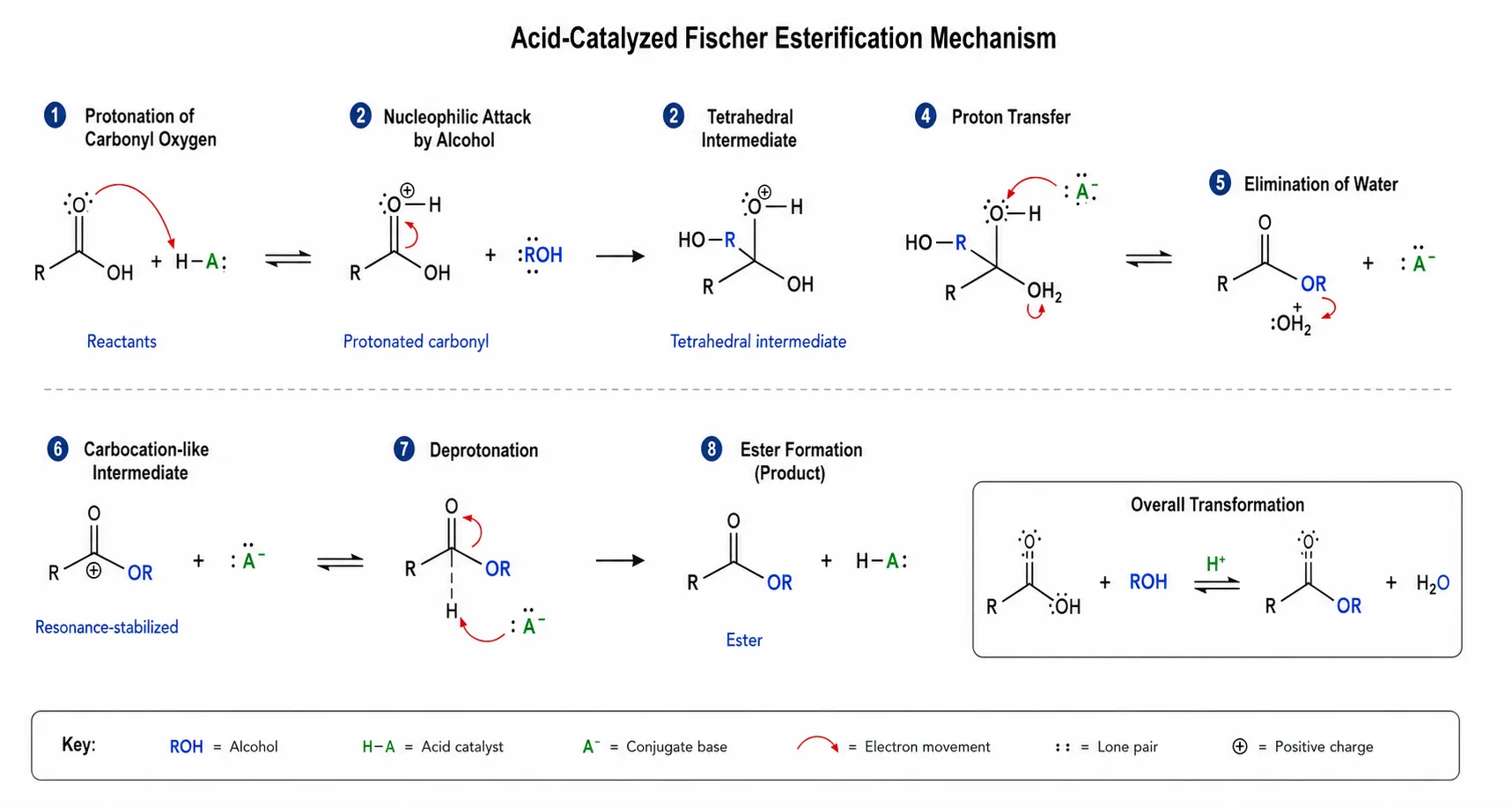 Chemistry reaction mechanism scientific figure